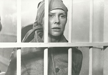 Polish Cinema for Beginners -